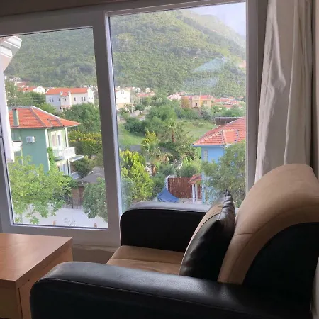 有树家 Apartamento *