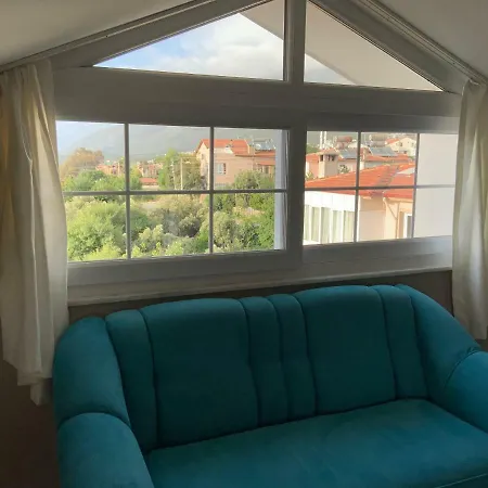 有树家 Apartamento *